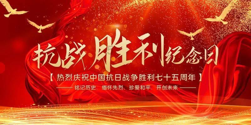 豆娃勇士3